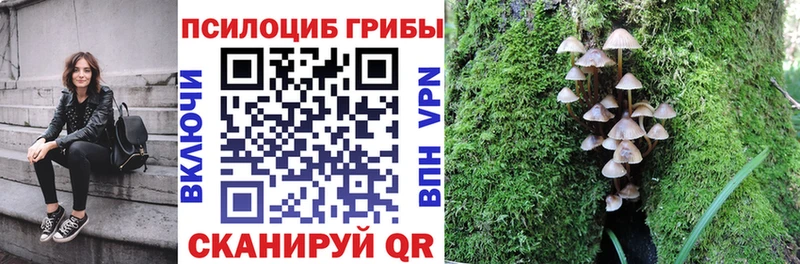 как найти закладки  Дюртюли  Псилоцибиновые грибы мицелий 